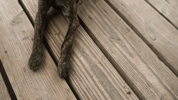 Quelles astuces pour intégrer des éléments en fausse fourrure dans une tenue sobre ?